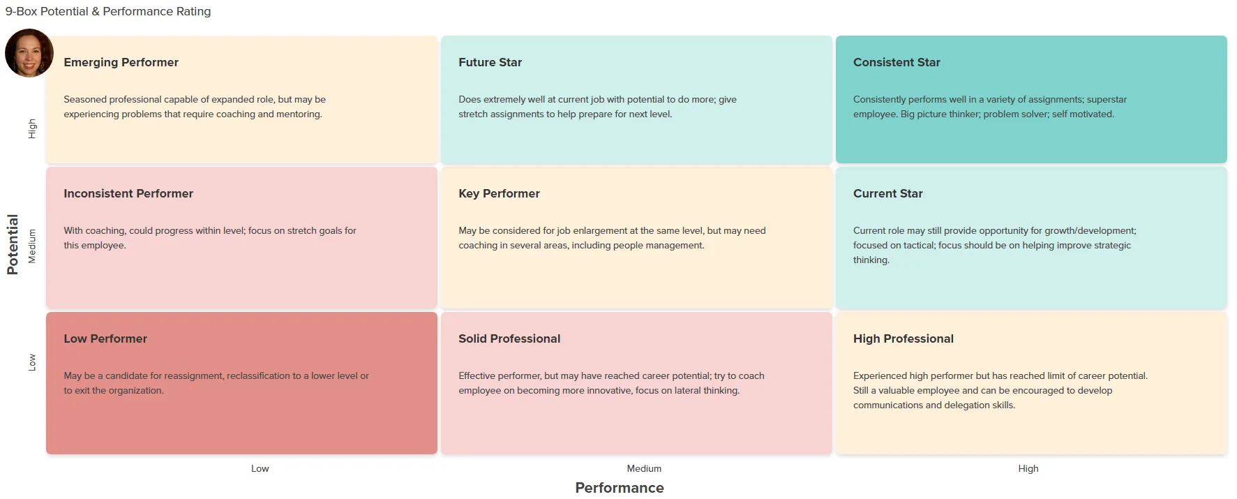 Workzoom talent management showing performance review and 9-box grid