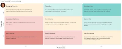 Workzoom Talent Suite showing 9-box succession planning grid - talent management software